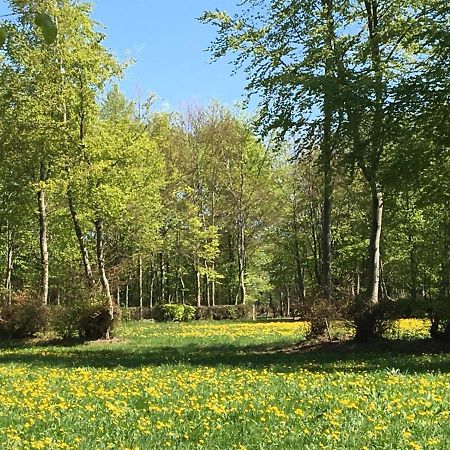 Ferienwohnung Ravelblick Рётген Экстерьер фото